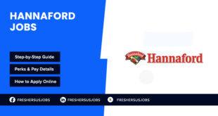 Hannaford Jobs