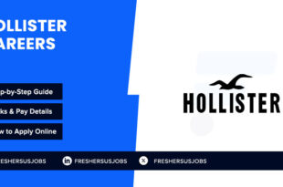 Hollister Careers